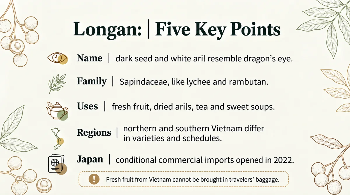 Japan opened conditional commercial imports of Vietnamese fresh longan in 2022.