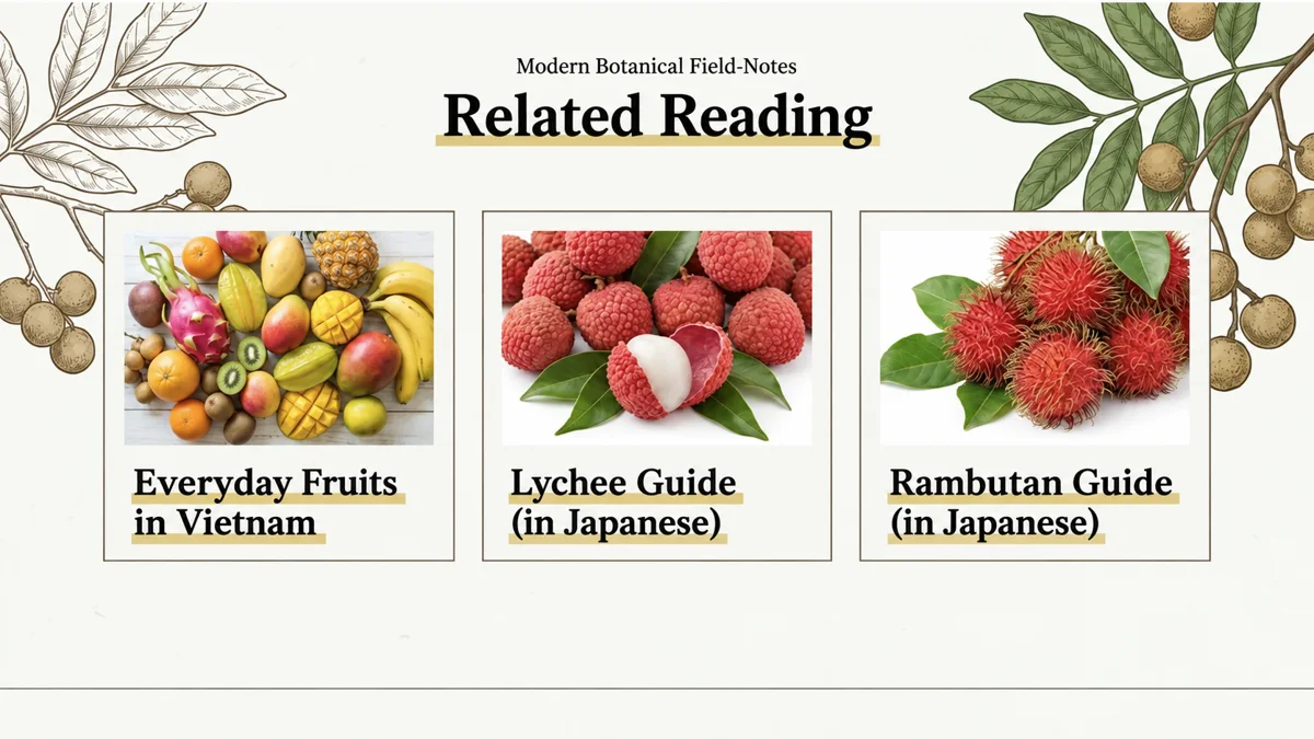 Related soapberry-family fruits and guides to fruit in Vietnam.