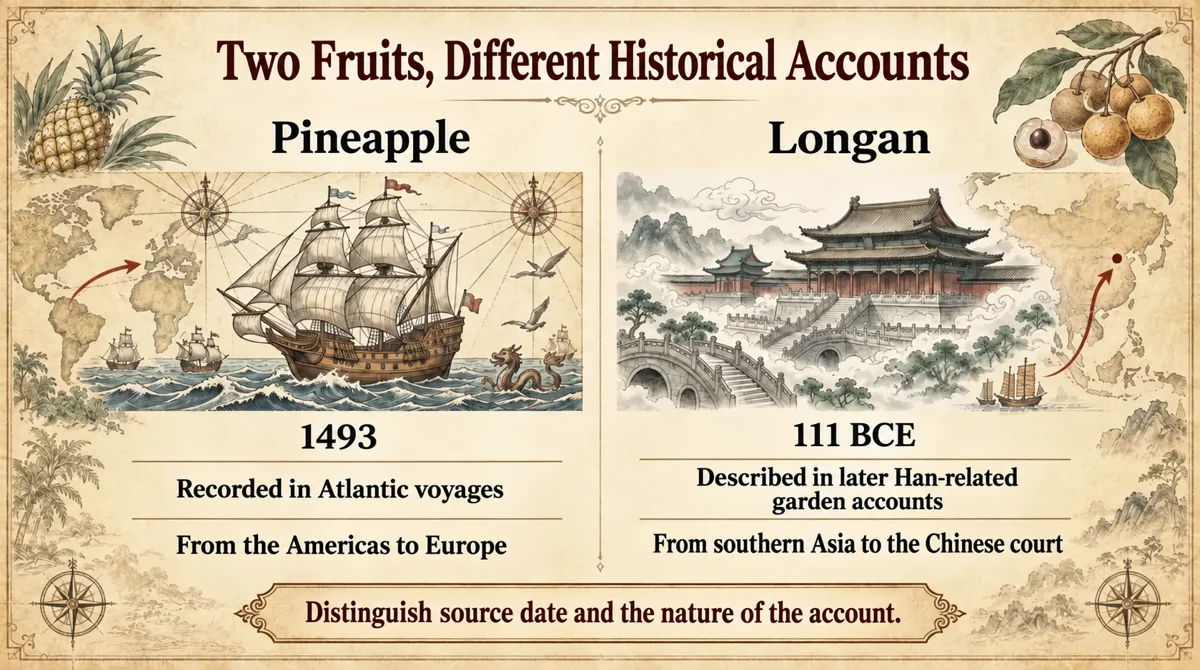 Pineapple and longan have different origins, journeys and relationships with Japan.