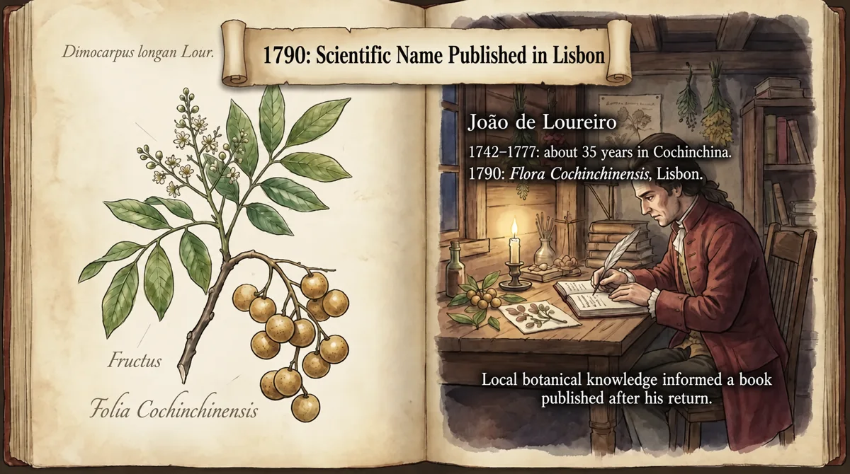 Loureiro’s botanical knowledge grew during his stay in Cochinchina; his book was published in Lisbon.