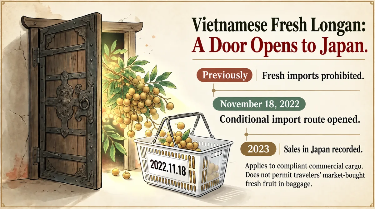 Japan opened conditional commercial access for Vietnamese fresh longan on November 18, 2022.