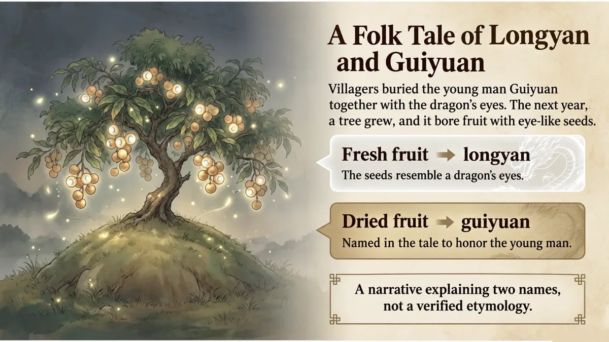 A folk tale connects the names longyan and guiyuan.