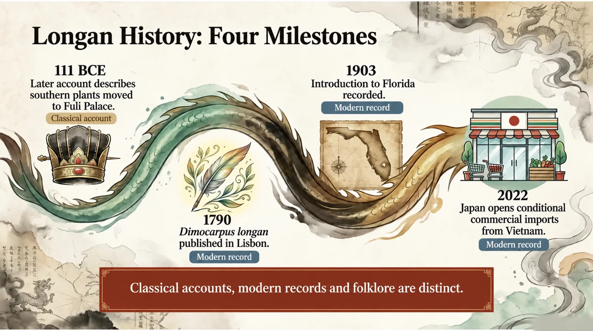 A timeline connects Han-related accounts with modern botanical naming and Japan’s conditional import route.
