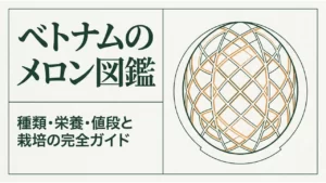 ベトナムのメロンの種類・栄養・値段を紹介する導入図