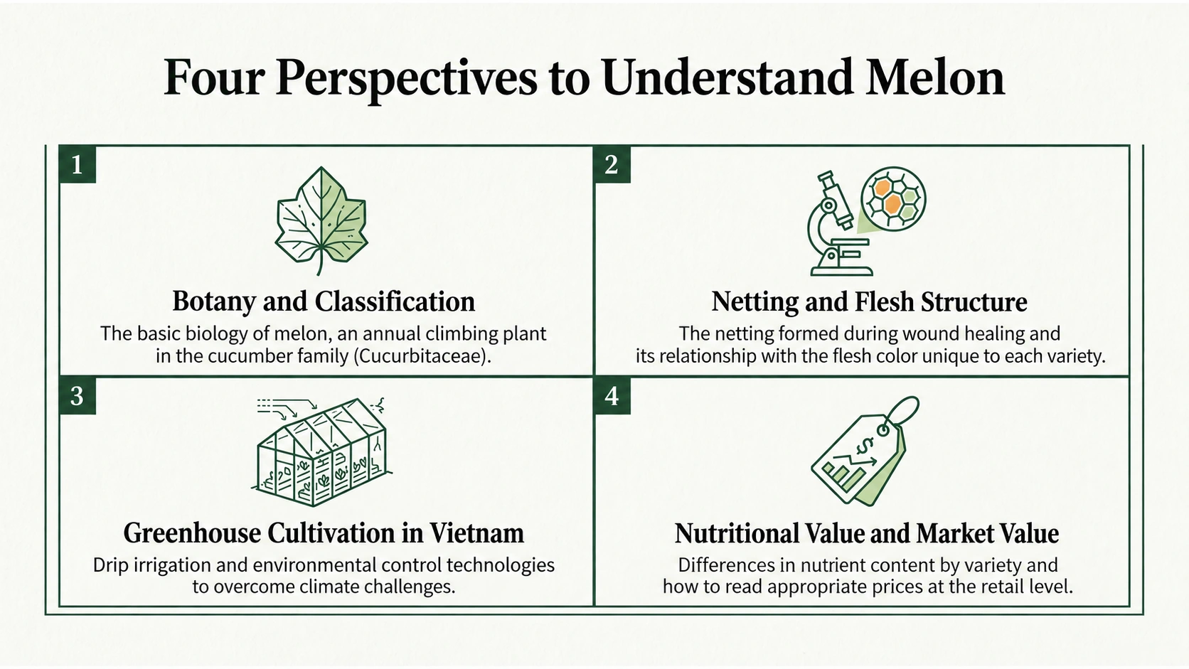 Four ways to understand melons: classification, rind and flesh, cultivation, and nutrition and prices