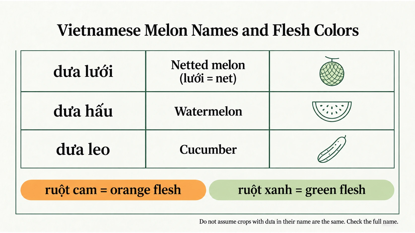 Vietnamese names for netted melon, watermelon and cucumber, with orange and green flesh labels