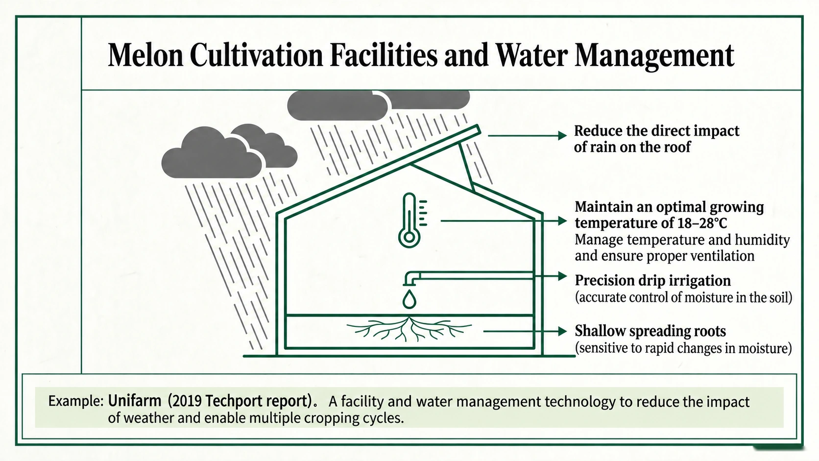 A roof, ventilation and drip irrigation help growers manage rain and moisture
