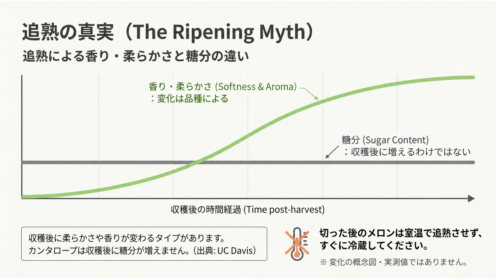 追熟による香り・柔らかさと糖分の違いを示す概念図