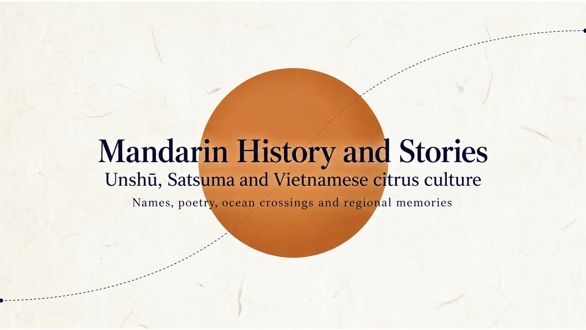Mandarin History and Stories — Unshū, Satsuma and Vietnamese citrus culture