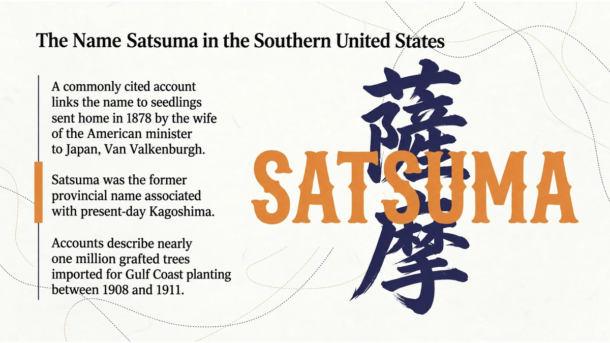 A Japanese regional name became familiar in Gulf Coast orchards.