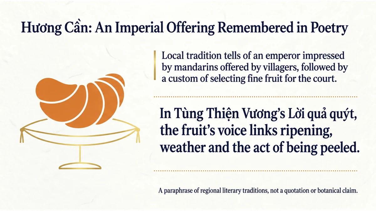 Hương Cần mandarin is remembered through court-offering traditions and poetry.