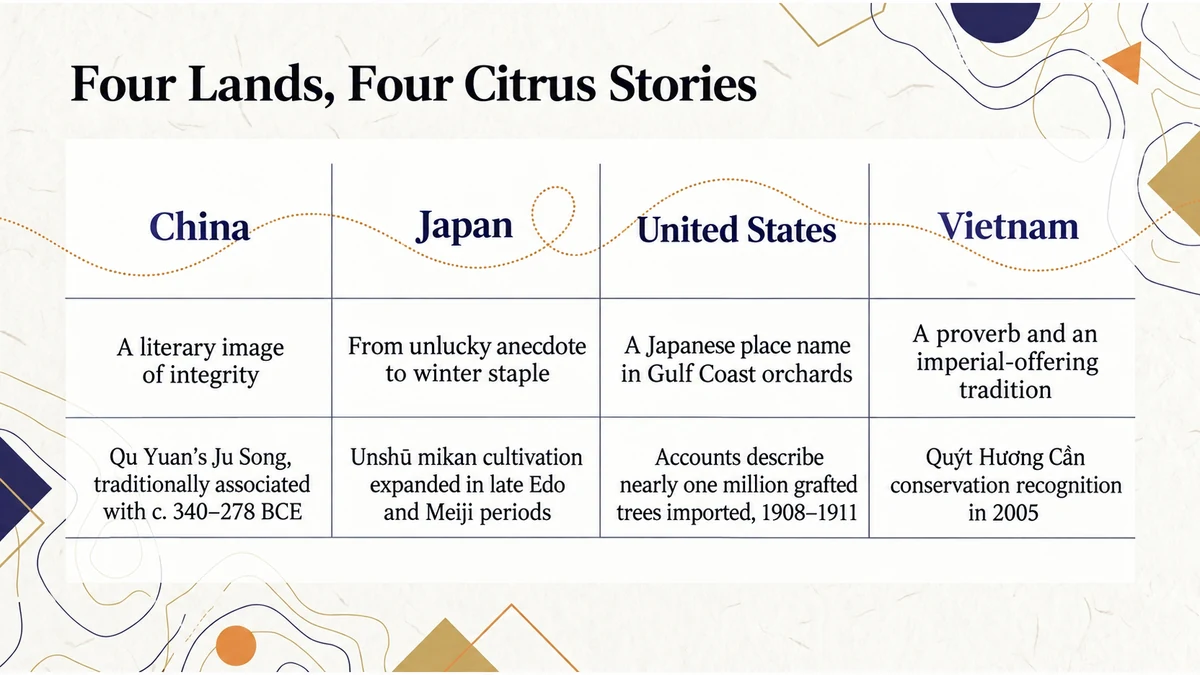 China, Japan, America and Vietnam each give citrus a different cultural role.