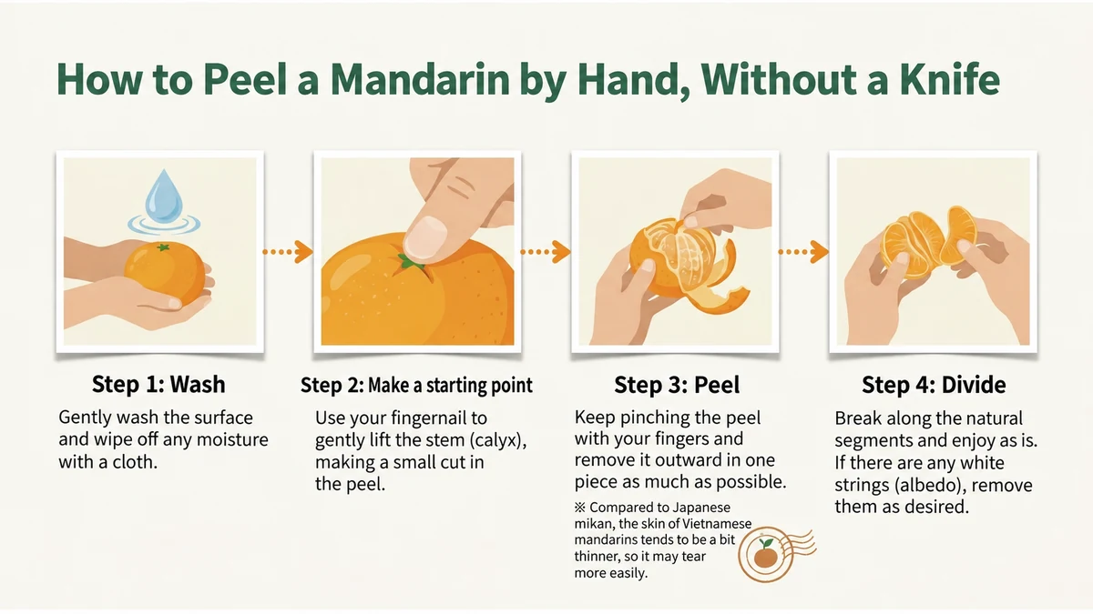 Wash, make an opening, peel and separate: four simple steps.