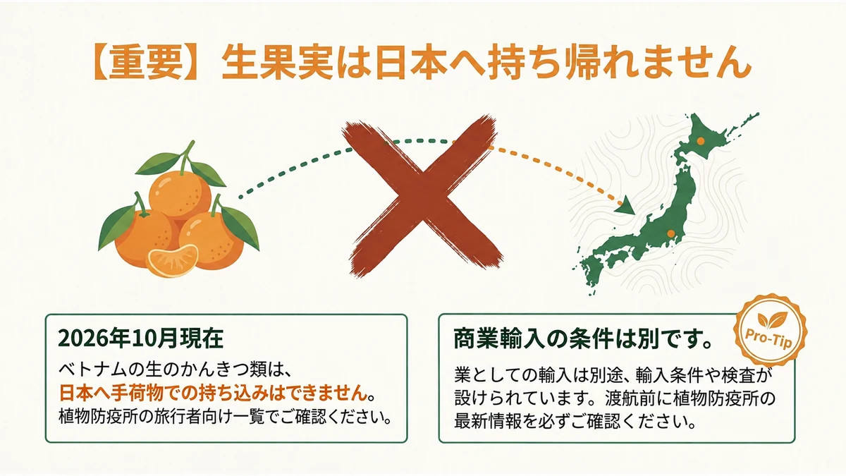 ベトナムの生のかんきつ類は、日本へ手荷物で持ち込めません。現地滞在中に楽しみ、渡航前に最新の公式情報を確認しましょう。