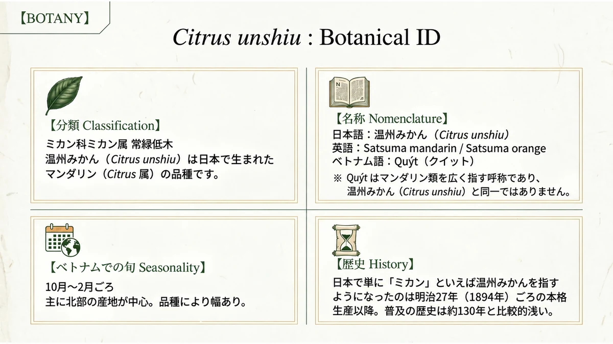 Citrus unshiu: Botanical ID。分類・名称・旬・歴史を1枚に整理。