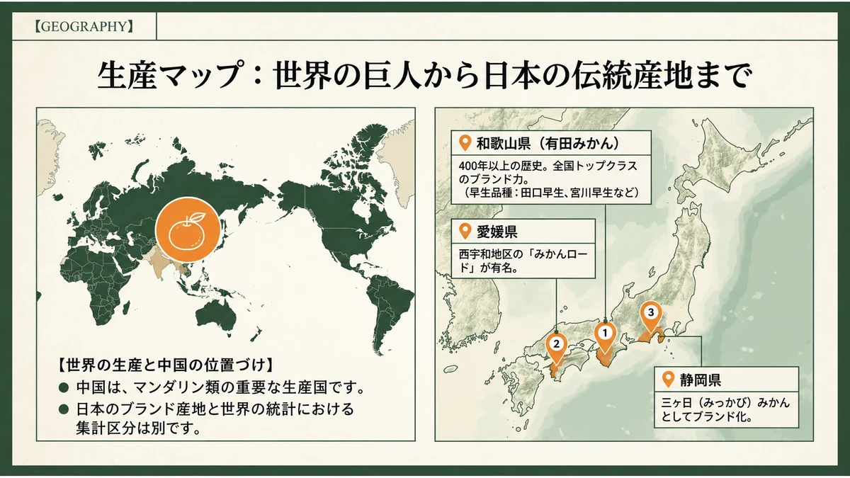 世界のマンダリン類の集計と、日本のブランド産地を区別した生産地図。年次不明の順位・数量は掲載しません。