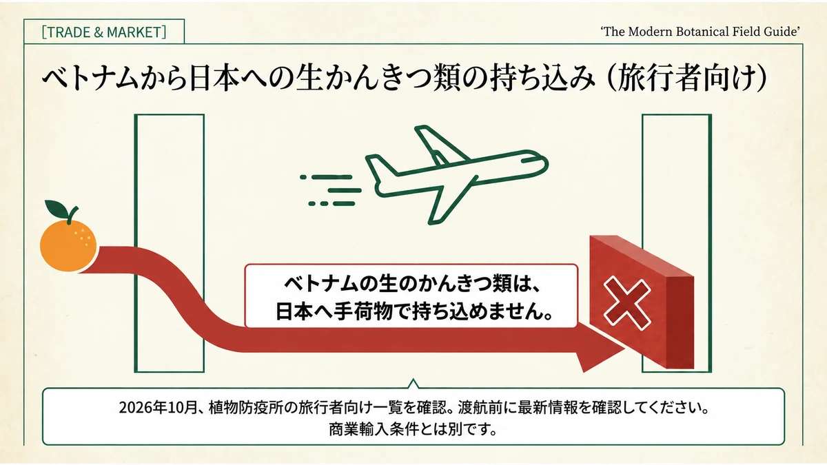 ベトナムの生のかんきつ類は、日本へ手荷物で持ち込めません。商業輸入条件とは分け、最新の植物防疫所情報を確認してください。