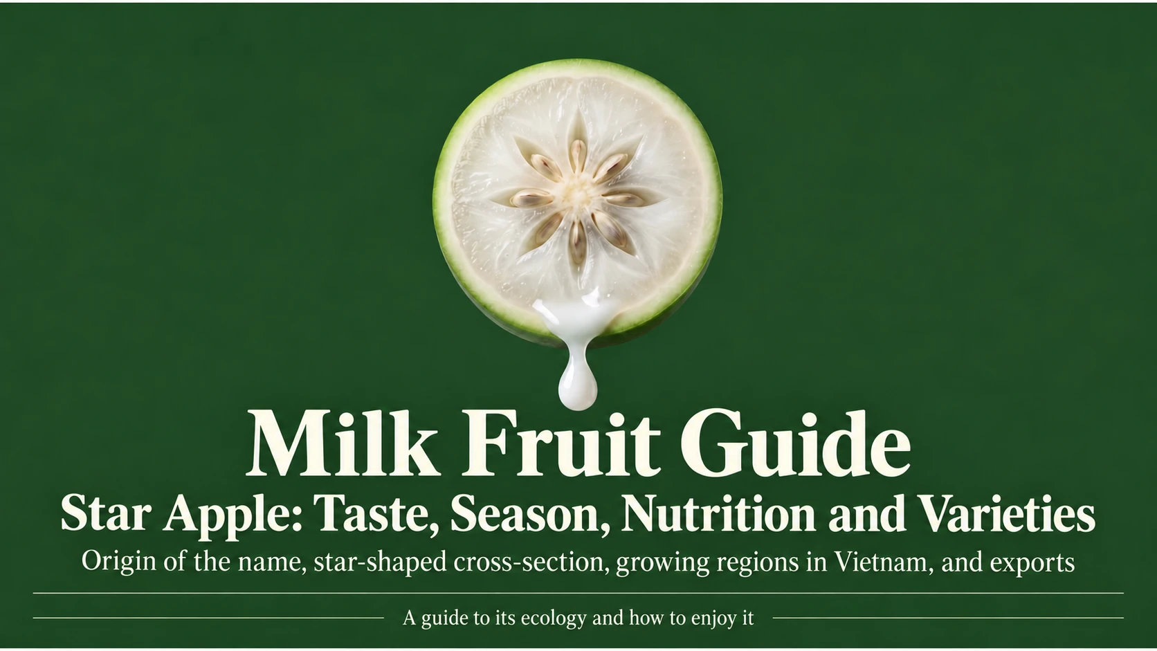 Milk Fruit Guide: taste, season, nutrition and varieties