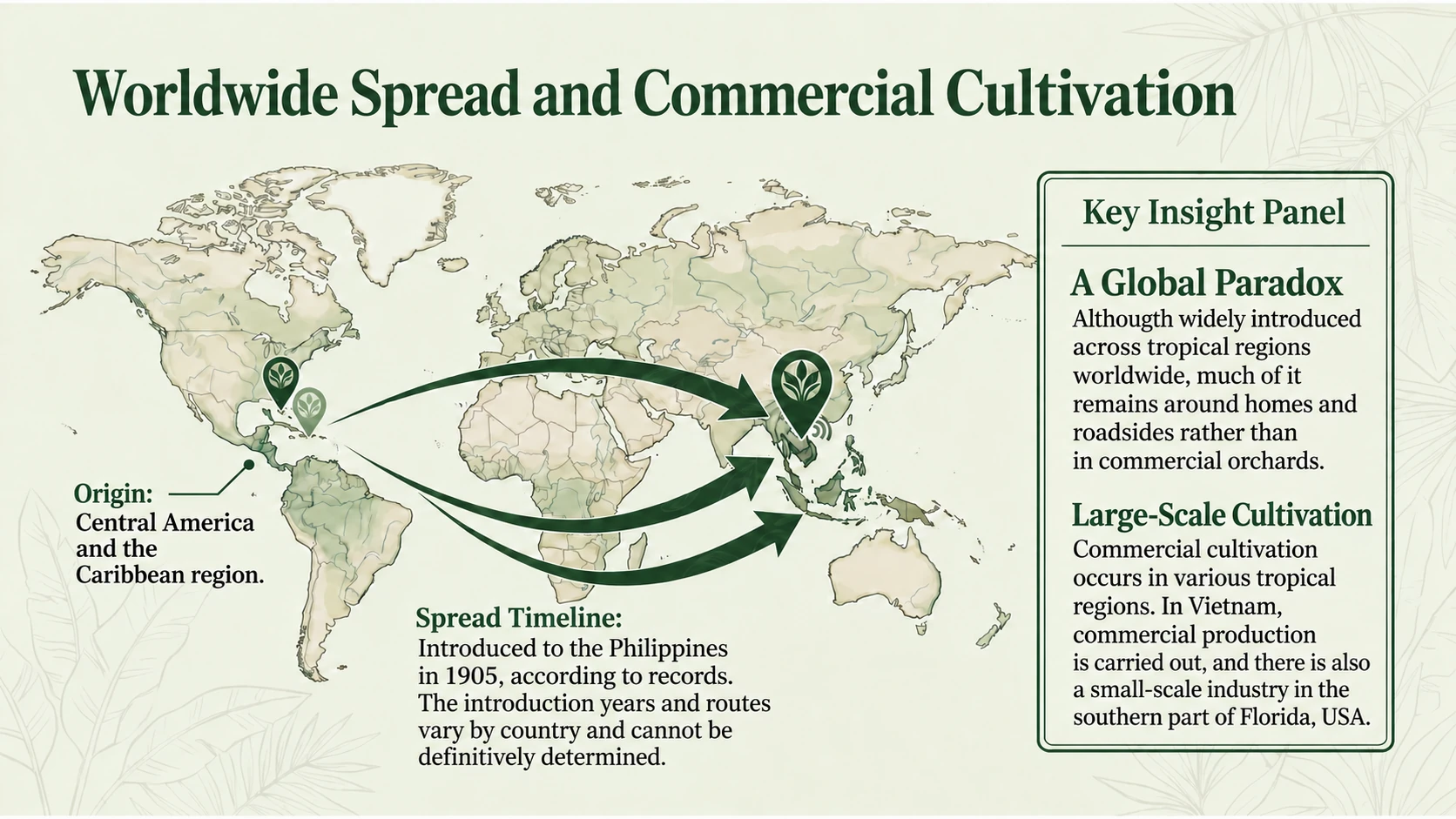 Worldwide spread and commercial cultivation