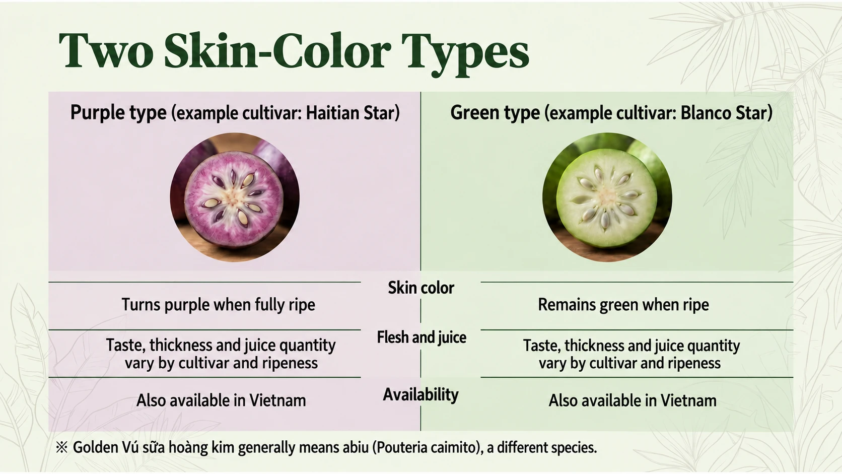 Purple and green star apple types, and the distinction from abiu
