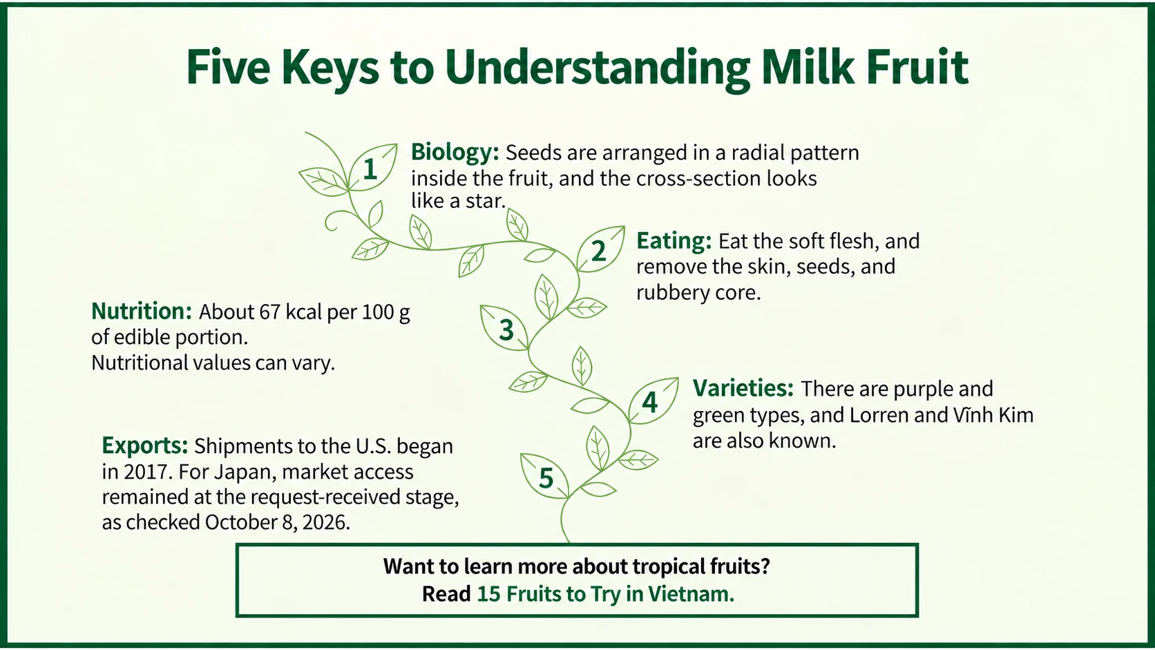 Five keys to understanding milk fruit