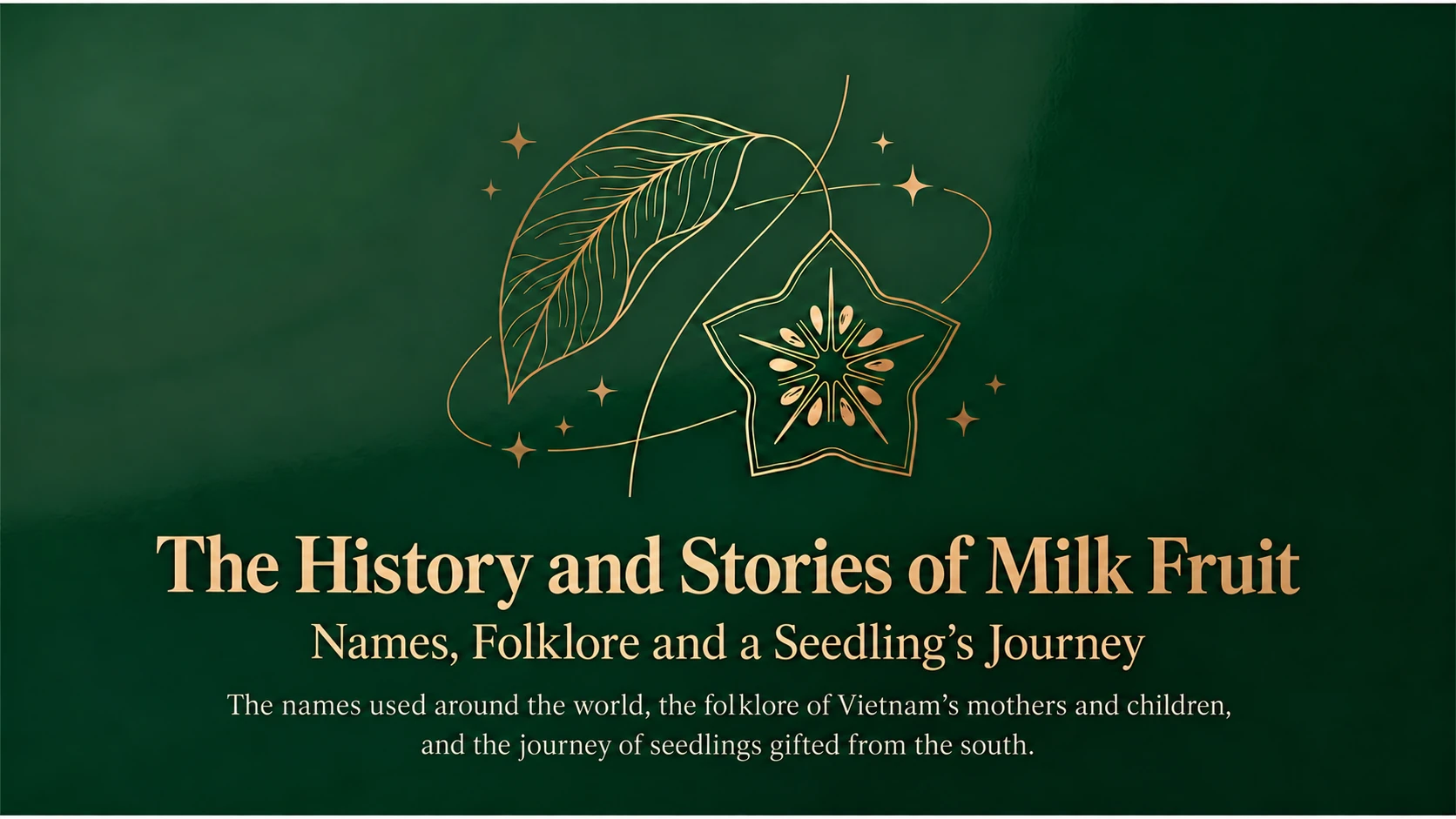 The History and Stories of Milk Fruit