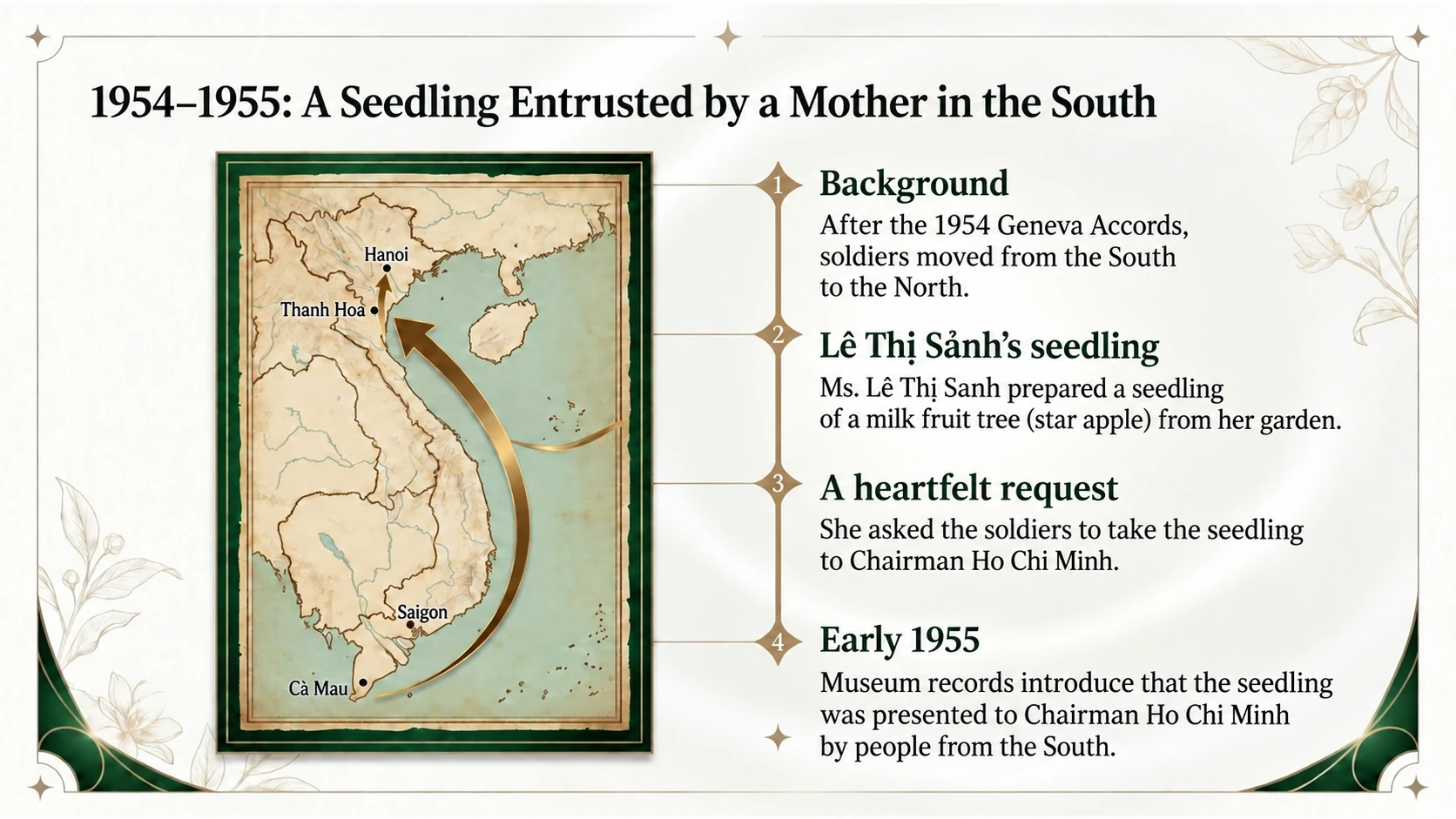 A seedling entrusted in southern Vietnam in 1954–1955
