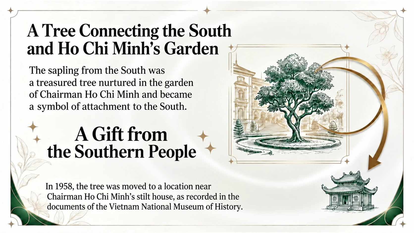The tree in Ho Chi Minh’s garden