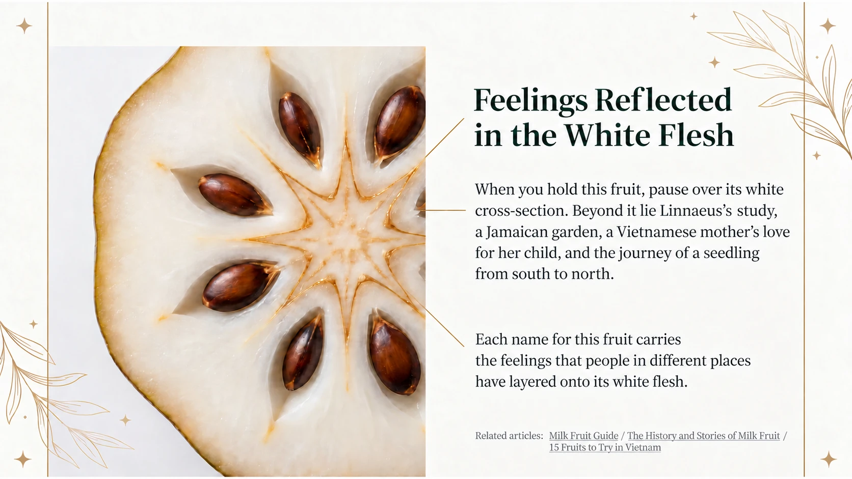 People’s feelings reflected in the white flesh