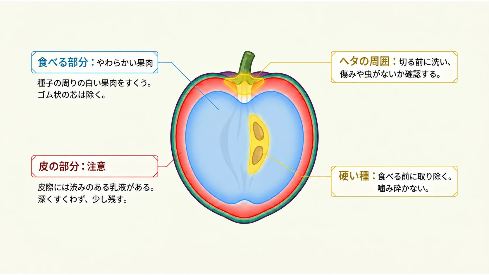 果肉と皮・芯・種の注意