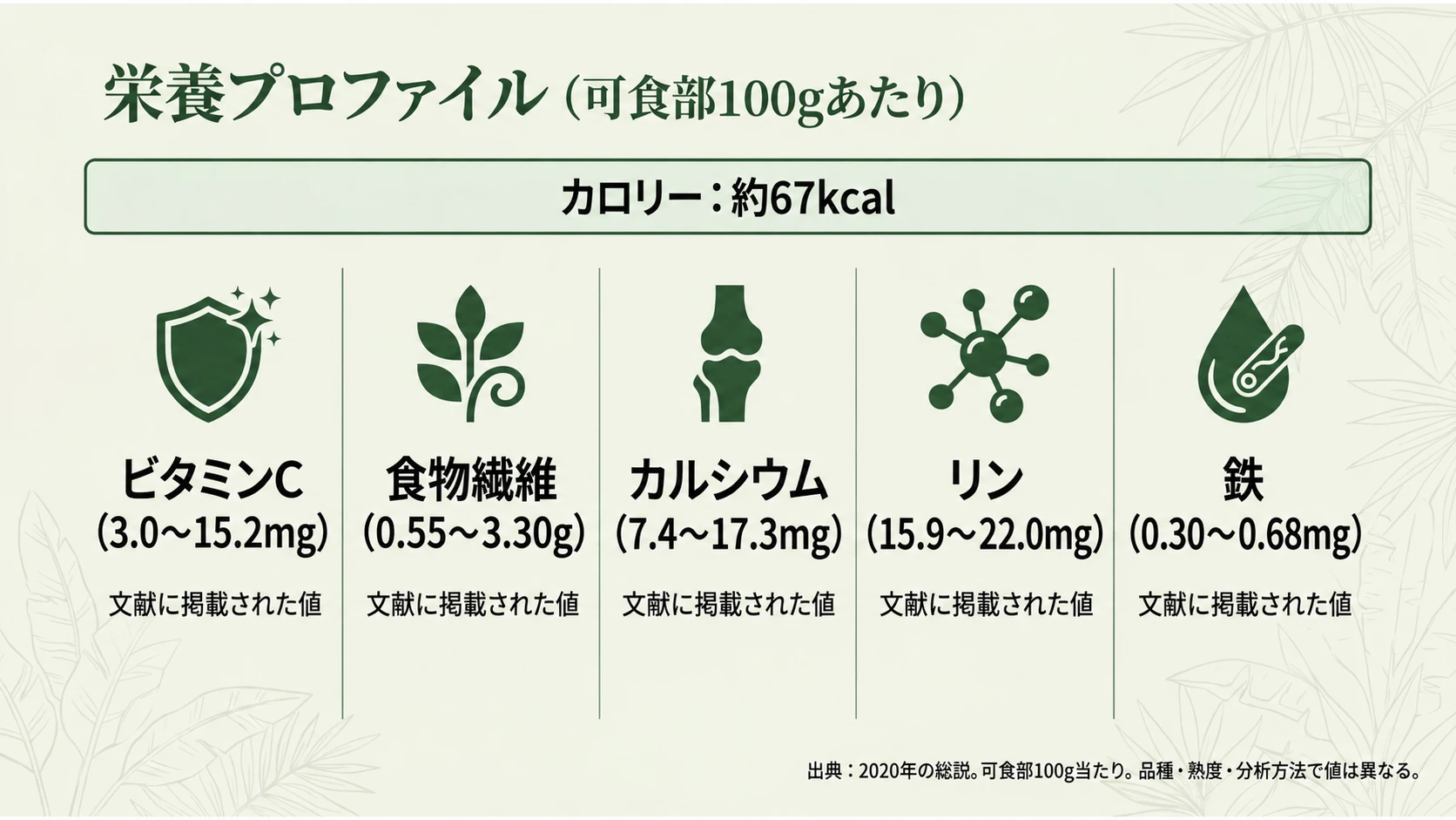 可食部100g当たりの栄養プロフィール