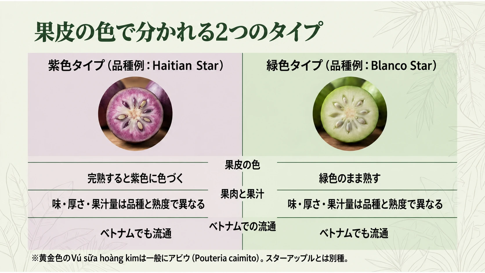 紫色と緑色の系統比較