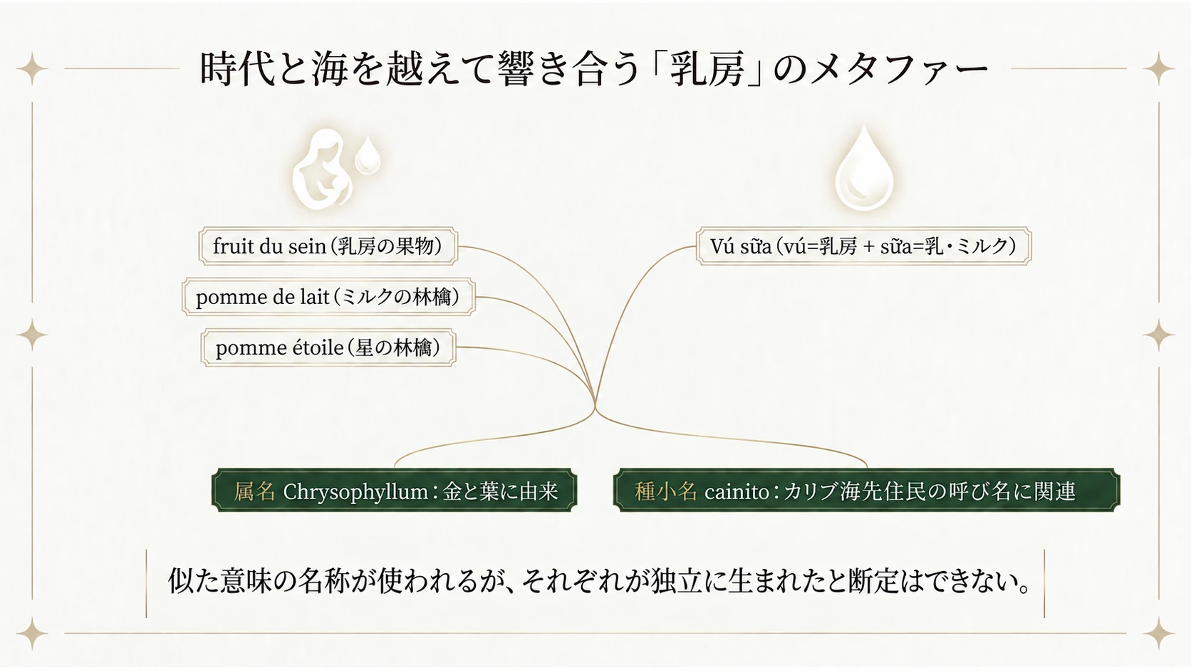 世界の呼び名と乳の比喩
