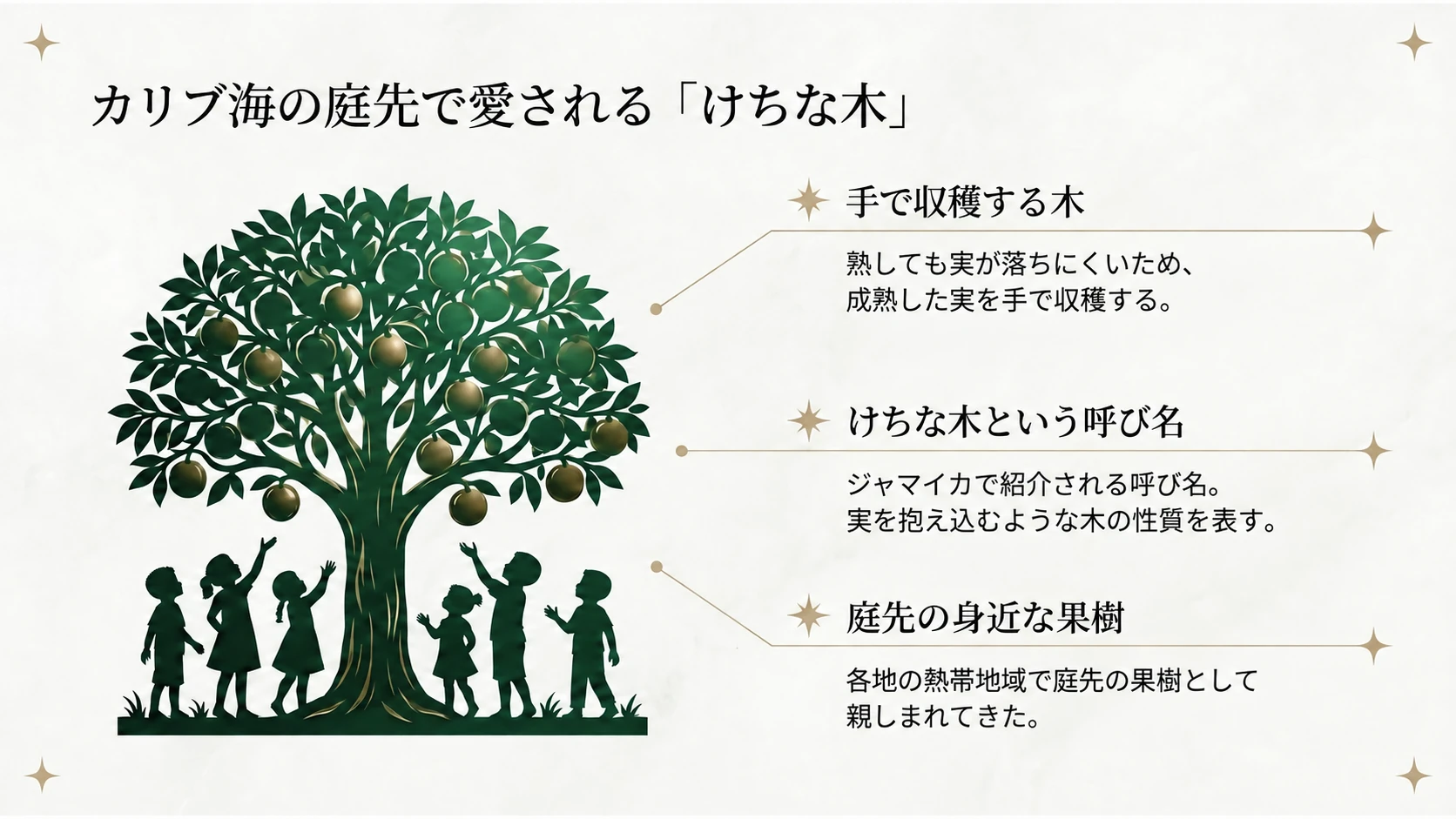 カリブ海の庭先のけちな木