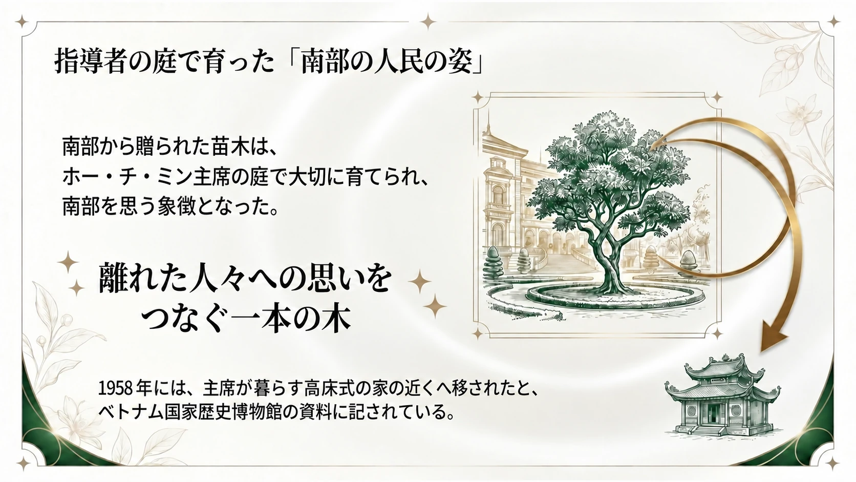 ホー・チ・ミンの庭で育った木
