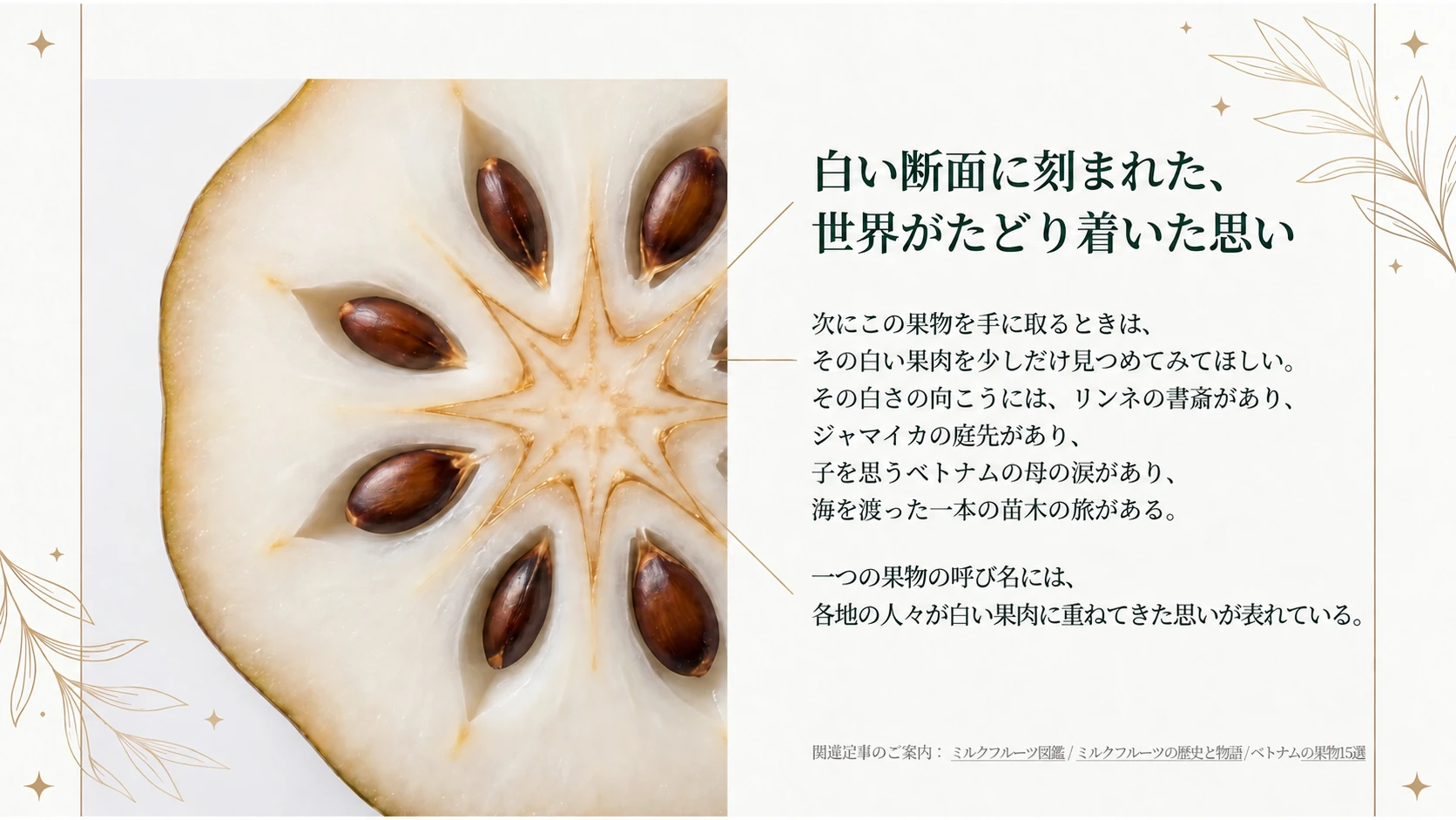 白い断面に重なる人々の思い