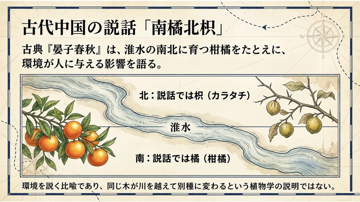淮水を境に南の橘と北の枳を対比する「南橘北枳」の説話を、川の両岸に実る柑橘のイラストで示した図
