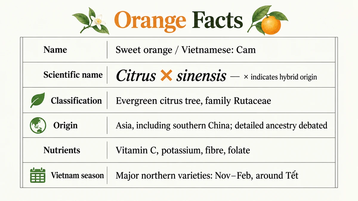 An orange fact sheet. The × in its scientific name indicates hybrid origin.