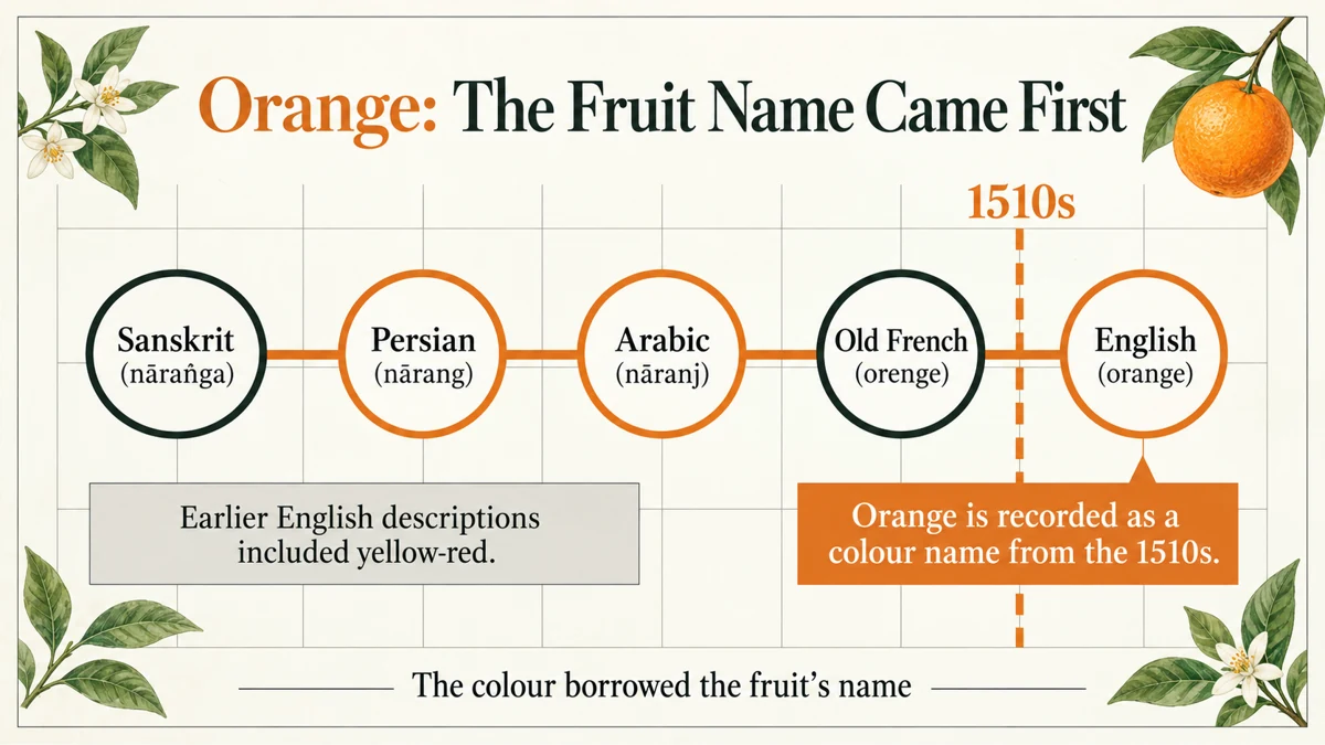 The journey of the word “orange”: a fruit name became a colour name.