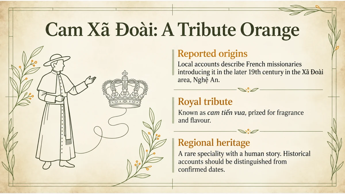 Cam Xã Đoài, a tribute orange reportedly introduced in the later nineteenth century.