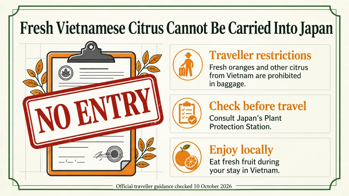 Travellers cannot carry fresh citrus from Vietnam into Japan. Check current official guidance before departure.