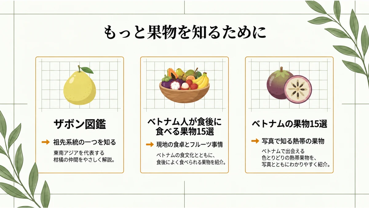 ザボン図鑑・ベトナム人が食後に食べる果物15選・ベトナムの果物15選の3つの関連記事を、それぞれのアイキャッチイラストとともに紹介した「もっと果物を知るために」という案内画像