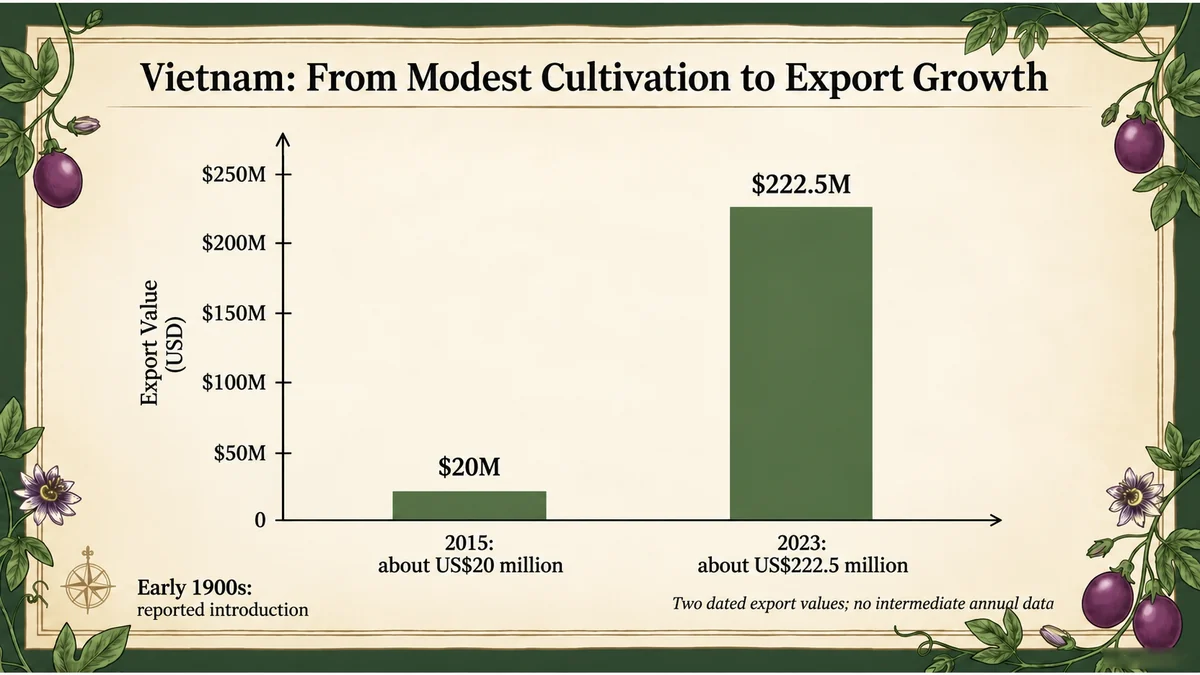 A modest early presence followed by substantial growth in reported exports.
