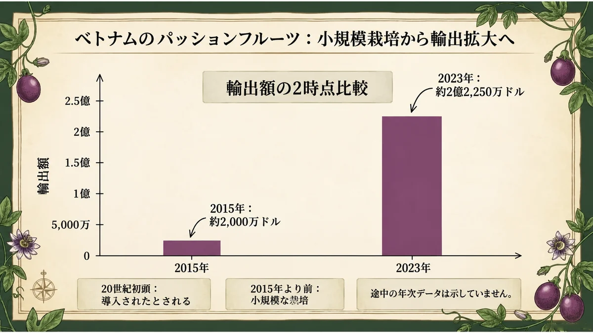 静かな100年から、わずか10年での大躍進