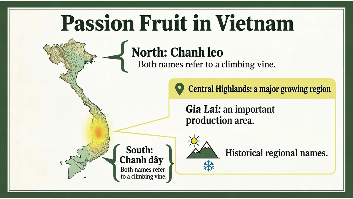 Regional names and the Central Highlands’ role in cultivation.