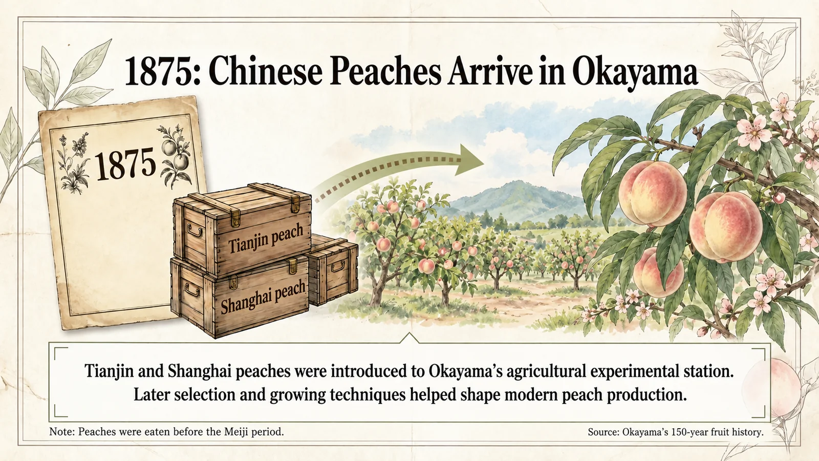 Boxes labeled Tianjin and Shanghai peaches, an 1875 calendar and an orchard