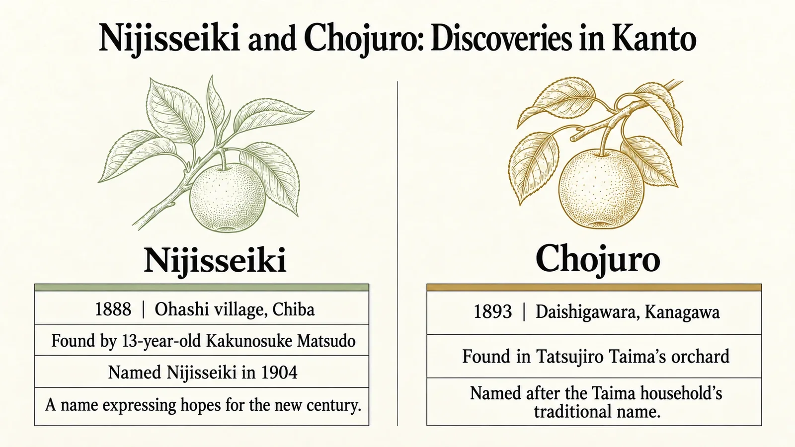 Nijisseiki discovered in 1888 and Chojuro discovered in 1893 in the Kanto region