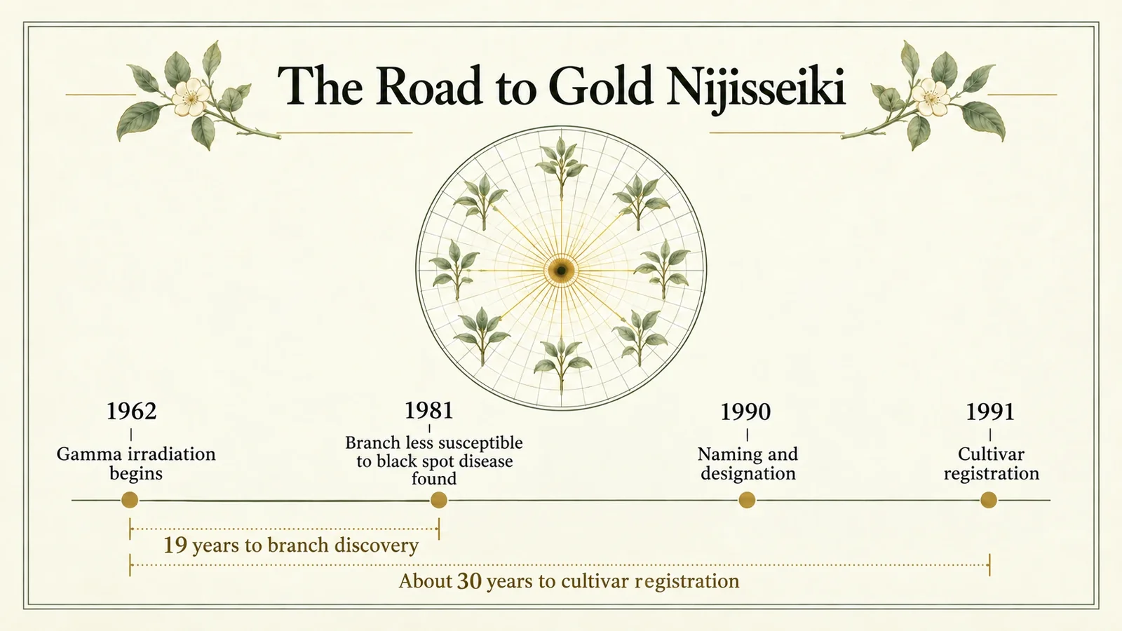 Gamma-field breeding and the path to Gold Nijisseiki