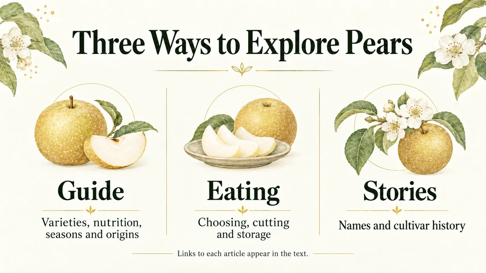 Three ways to explore pears: botany, food and history