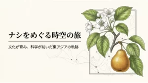 ナシの実と白い花を描いた、ナシの歴史と物語の表紙